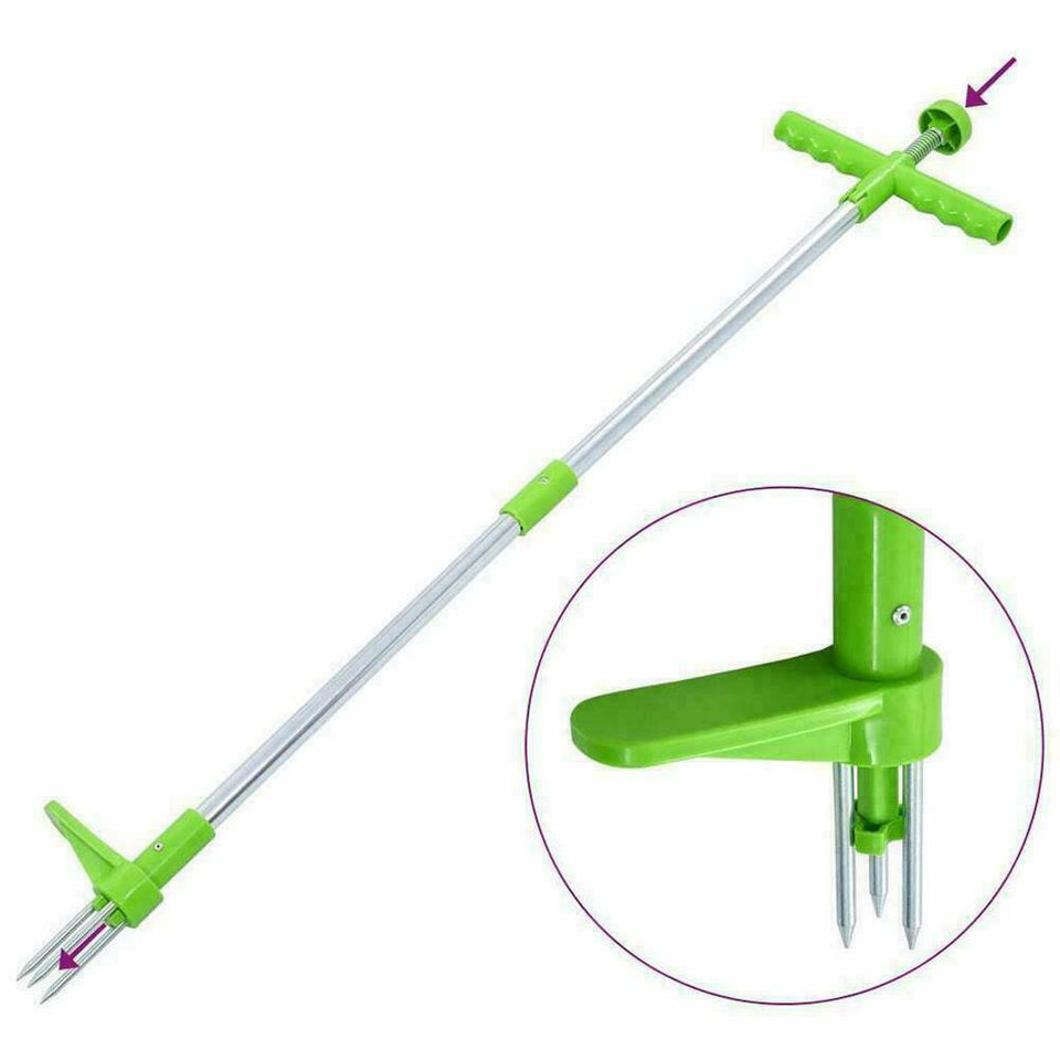 Standing Plant Root Remover