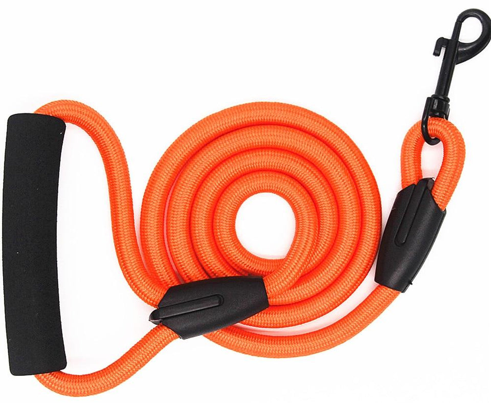 dog leash running walk train for large small cat pets Leashes dogs leash rope nylon   Tenacity 7 colors 3 sizes