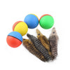 ELECTRIC BEAVER BALL