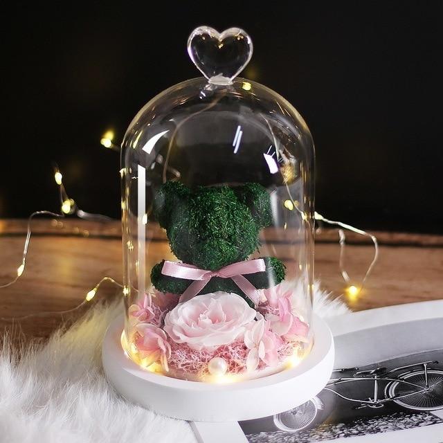 DearBear