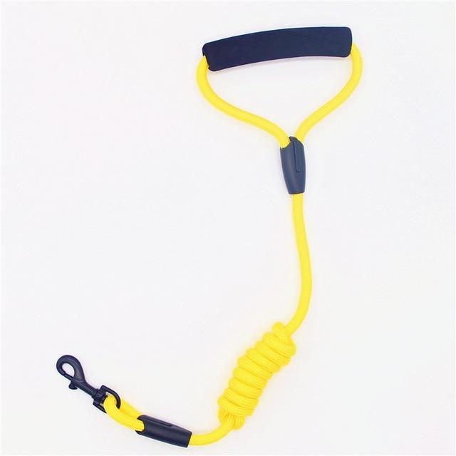 dog leash running walk train for large small cat pets Leashes dogs leash rope nylon   Tenacity 7 colors 3 sizes