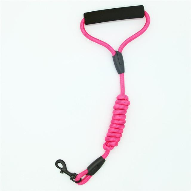 dog leash running walk train for large small cat pets Leashes dogs leash rope nylon   Tenacity 7 colors 3 sizes