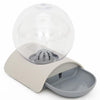 Pets Water and Food Set