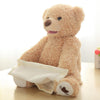 Peek-A-Boo Teddy Bear