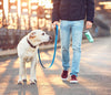 Portable Pet Dog Water Bottle Drinking Bowls For Small Large Dogs Feeding Water Dispenser Cat Activated Carbon Filter Bowl