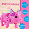 toys for children boys girls walking singing Musical Light cartoon cute Pig Toy with Leash Interactive brinquedos #CL3