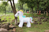 Gigantic Unicorn & Elephant Backyard Sprinkler