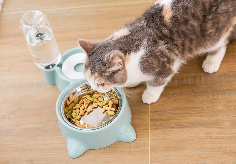 Pets Water and Food Set